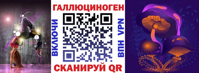 Галлюциногенные грибы Psilocybine cubensis  Северская 